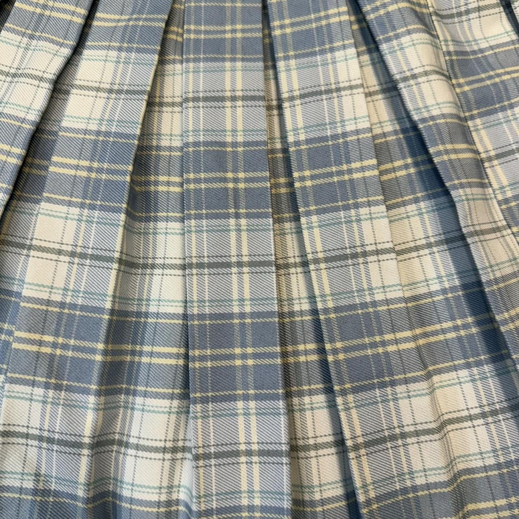 Blue & White Checkered Skirt